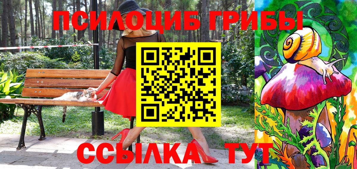 Галлюциногенные грибы Psilocybine cubensis Комсомольск-на-Амуре